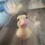 ありのプロフィール画像