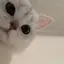 natsuのプロフィール画像