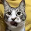 AMyのプロフィール画像