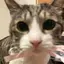 ちーのプロフィール画像
