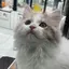 yukのプロフィール画像