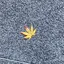 雷嘩のプロフィール画像