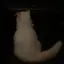 ♡のプロフィール画像