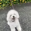 Minamiのプロフィール画像