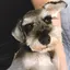 ゆきのプロフィール画像