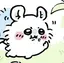 のんのプロフィール画像