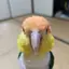 M.Kのプロフィール画像