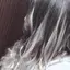 りっぷのプロフィール画像