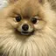 cocoのプロフィール画像
