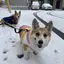 Moriのプロフィール画像