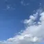 みかんのプロフィール画像