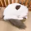 Rのプロフィール画像