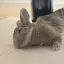 びのプロフィール画像