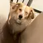 ひとみのプロフィール画像