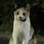 (◜ᴗ◝)のプロフィール画像