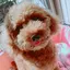 ai٩( ᐛ )وのプロフィール画像