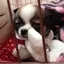 あやみのプロフィール画像
