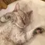 遥花のプロフィール画像