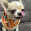 きむきむのプロフィール画像