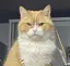 ちのプロフィール画像