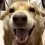 みーのプロフィール画像