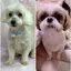 まるものプロフィール画像