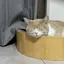 ちさとのプロフィール画像