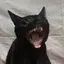 mのプロフィール画像