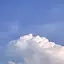 Limのプロフィール画像