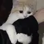 まのプロフィール画像