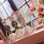honoのプロフィール画像