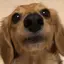 あやねのプロフィール画像