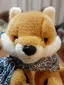 ゆみのプロフィール画像