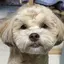 nanaのプロフィール画像
