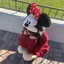 このみのプロフィール画像