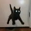 ゆ。のプロフィール画像
