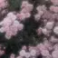 uiのプロフィール画像