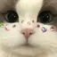 りんたんのプロフィール画像