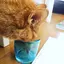 麻香のプロフィール画像