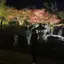 けけけのプロフィール画像