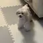 ®️のプロフィール画像