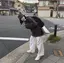 れなのプロフィール画像