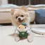 ひーちゃんのプロフィール画像
