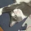 海音のプロフィール画像