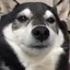 もっちゃんのプロフィール画像