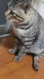y.yのプロフィール画像