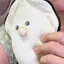 さくらのプロフィール画像