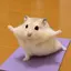 ひなのプロフィール画像
