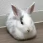 まいのプロフィール画像