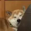 なっちゃんのプロフィール画像